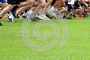 Cross Country Runners on green grass