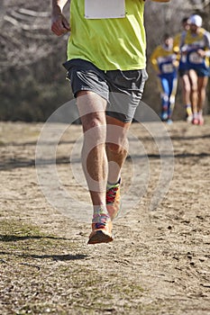 Cross country runners on a race. Active healthy lifestyle