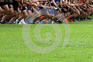 Cross Country Runners at the starting line