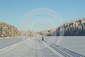 Cross Country ski