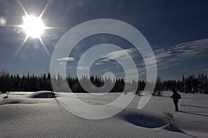 Cross country ski in Lapland