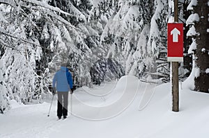 Cross Country Ski Runner - Motion Blur