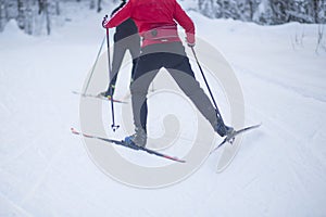 Cross country ski. Skiing in winter on the track