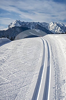 Cross country ski track