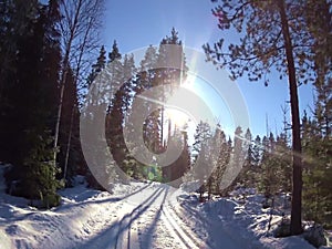 Cross country ski track