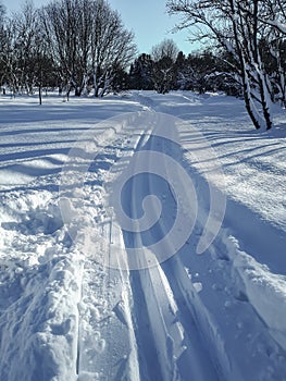 A cross-country ski track forms curved trail that disappears into the distance. The parallel lines of the groomed path, deeply