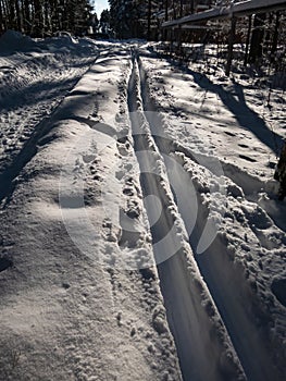 A cross-country ski track forms curved trail that disappears into the distance. The parallel lines of the groomed path, deeply