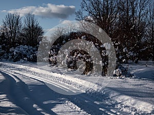 A cross-country ski track forms curved trail that disappears into the distance. The parallel lines of the groomed path, deeply