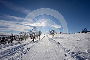 Cross Country Ski Tracks 