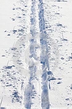 Cross country ski tracks