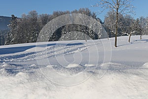 Cross Country Ski Tracks in Austria, Winter Mountains.