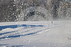 Cross Country Ski Tracks in the Austrian alps, Winter Mountains.