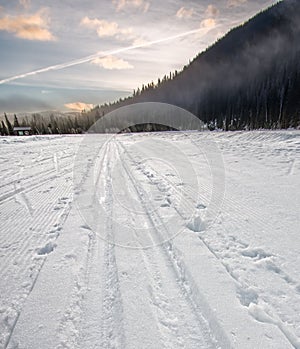 Cross Country Ski Tracks Going Into Distance