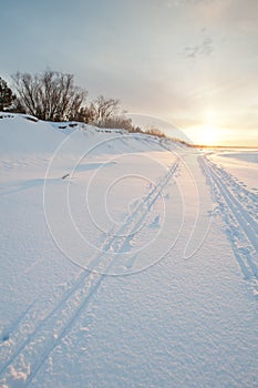 Cross country ski tracks at seaside