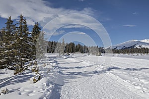 Cross Country Ski Tracks in Tyrol, Austria