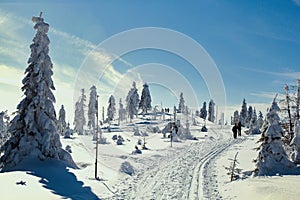 Cross-country ski trail