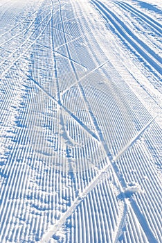 Cross country ski trail