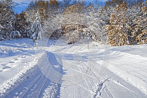 Cross country ski trail