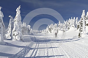 Cross Country Ski Trail