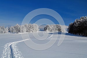 Cross-Country Ski Trail