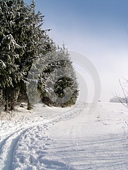 Cross country ski trail