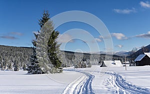 Cross country ski trail in hamlet Jizerka, Jizera Mountains