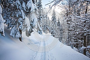 Cross-country ski trail during morning sunrise ready for runners. Winter activities during the perfect winter in Beskydy montains