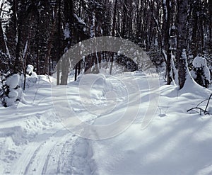 Cross Country Ski Trail Ontario Canada