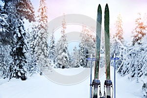 Cross country ski trail with retro wood skis and ski poles