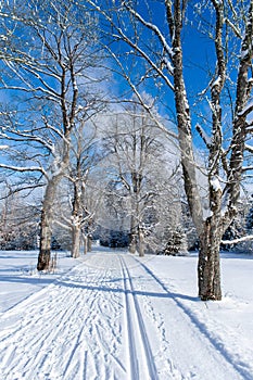 Cross-country ski trail on a winter road through a snowy landscape 2