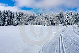 Cross-country ski trail on a winter road through a snowy landscape