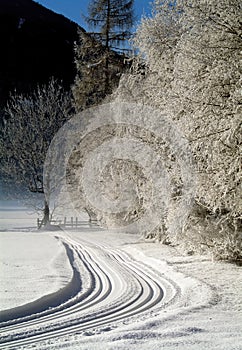 Cross country ski trails