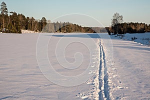 Cross country ski trails on a field. Tour skiing.