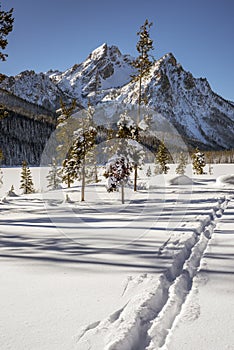 Cross country ski trails lead into the Idaho mountains