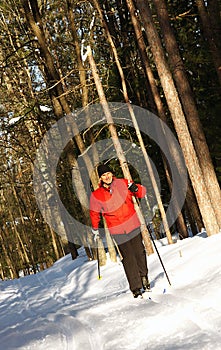 Cross Country Skier