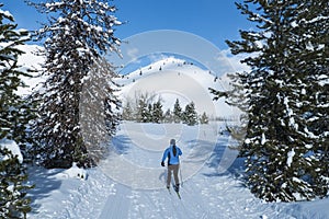 Cross-country skier on a perfect winter day