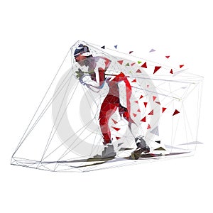 Cross country skier, polygonal vector illustration