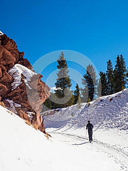 Cross country skier on single track