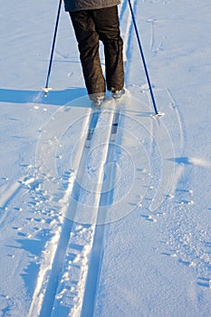 Cross-Country Skier in Tracks