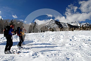 Cross Country Skiers