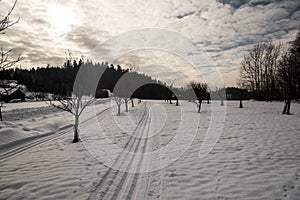 Cross-country skiiing track with trees, few houses and blue sky with clouds