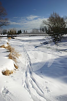 Cross-Country Skiing 1