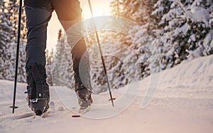 Cross Country Skiing