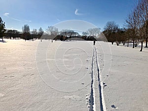 Cross Country Skiing