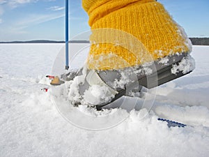 Cross Country Skiing