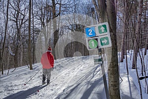 Cross-country skiing