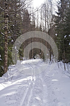 Cross country skiing