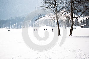 Cross-country skiing in bayrischzell, bavarian mountains