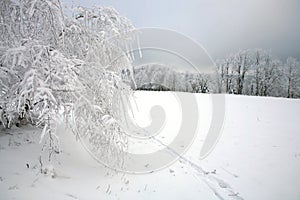 Cross country skiing. A cloudy, winter day in the meadows of the Stolowe Mountains National Park in Poland.