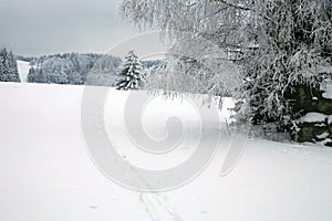 Cross country skiing. A cloudy, winter day in the meadows of the Stolowe Mountains National Park in Poland.